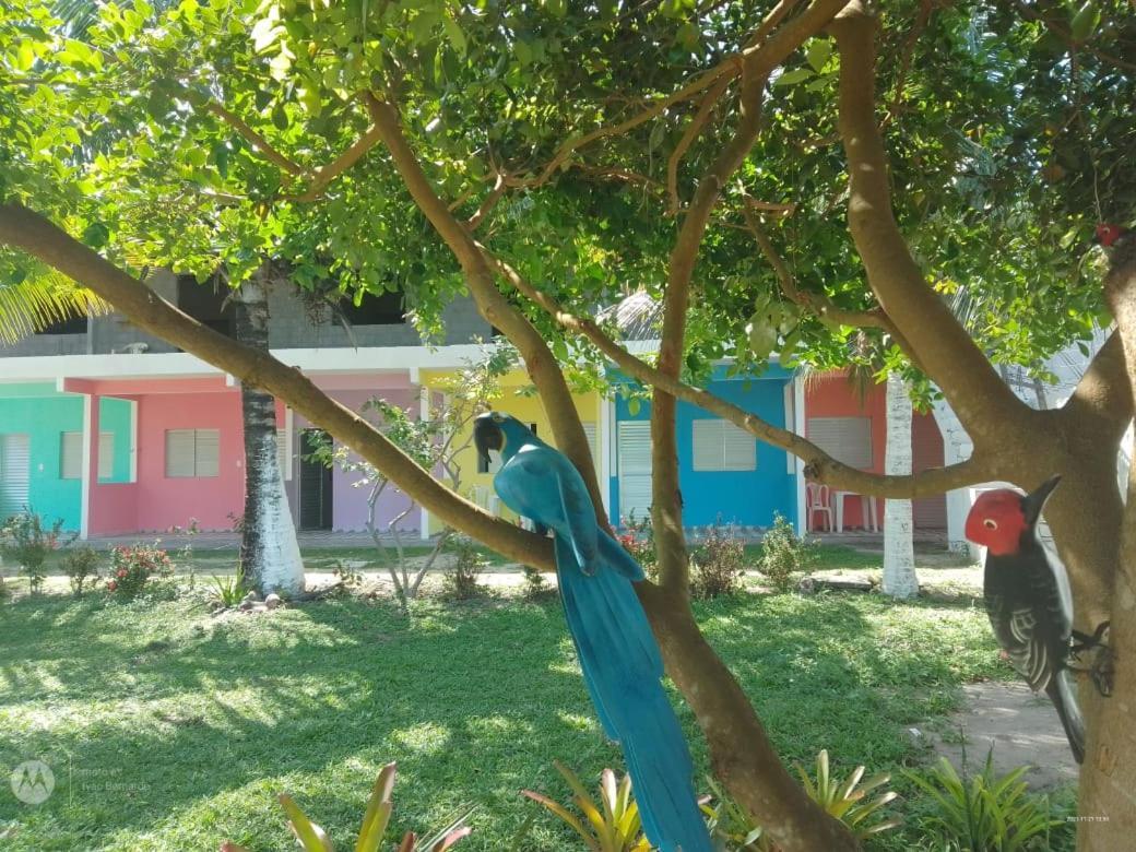 Pousada Praia De Tairu Armacao do Tairu Exterior foto